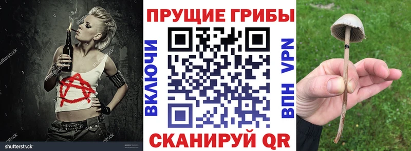 Галлюциногенные грибы ЛСД OMG Омск